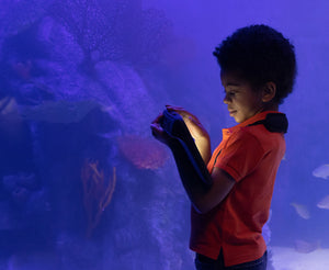 Autistic boy using a Tobii Dynavox touch-based communication device